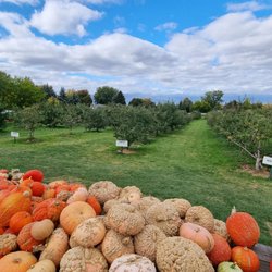 Blackman Homestead Farm