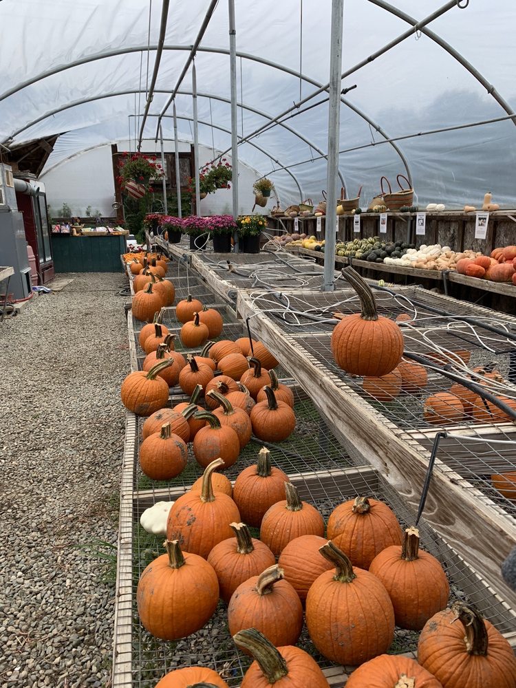 LAPSLEY ORCHARDS Updated September 2024 33 Photos & 17 Reviews