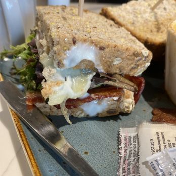 First Watch - BLTE - Breakfast & Brunch Near Me - Fredericksburg, Virginia