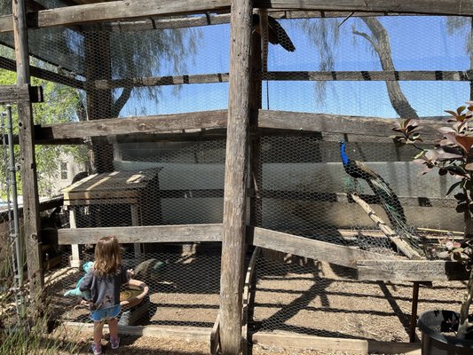 Whitfill Nursery by null