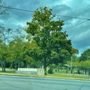 Hadley Park