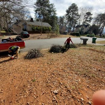 United Tree Company - Tree Services Near Me United Tree Company - Tree Services Near Me