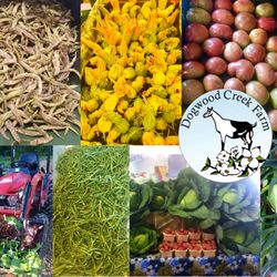 Rutherford County Farmers Market