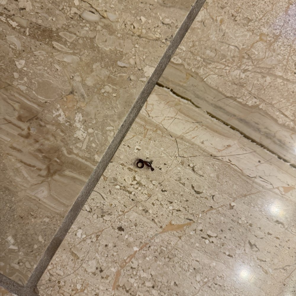 M Resort - A previous guest's rubber band - Hotels Near Me - Henderson, Nevada