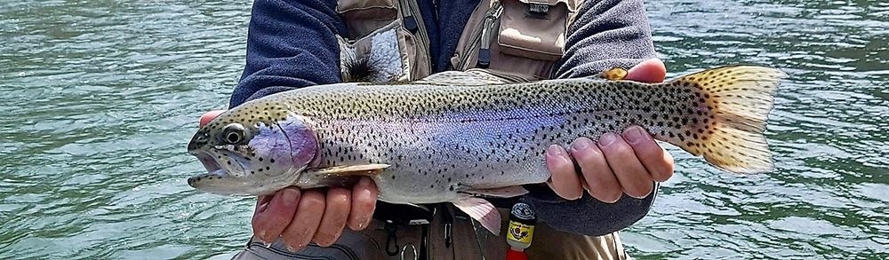 High Country Angler Logo