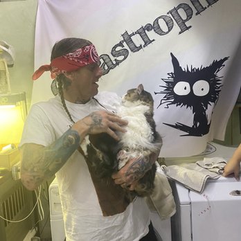 Catastrophe Cat Grooming - Tux - Pet Groomers Near Me - Livermore, California Catastrophe Cat Grooming - Tux - Pet Groomers Near Me - Livermore, California