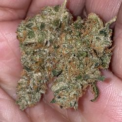 MMJ Health