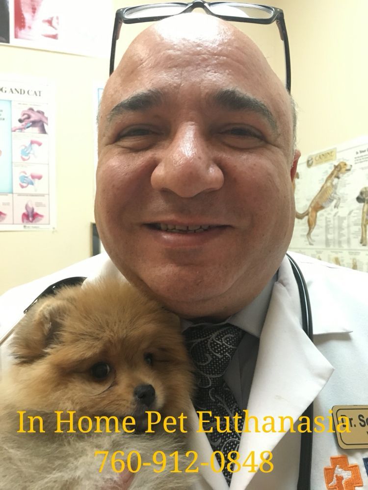 pet euthanasia and cremation services