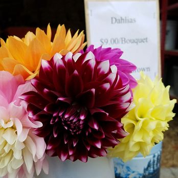 Pyrah's Pioneer Peak Farm - a vase of flowers - Farmers Market Near Me - Palmer, Alaska Pyrah's Pioneer Peak Farm - a vase of flowers - Farmers Market Near Me - Palmer, Alaska