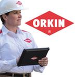 Orkin Pest & Termite Control - untitled