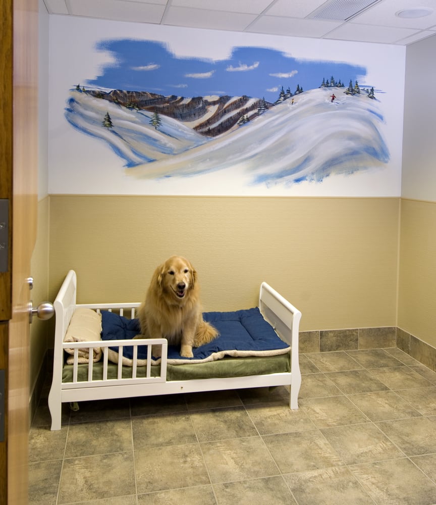 RED DOG PET RESORT & SPA Updated September 2024 19 Reviews 7036