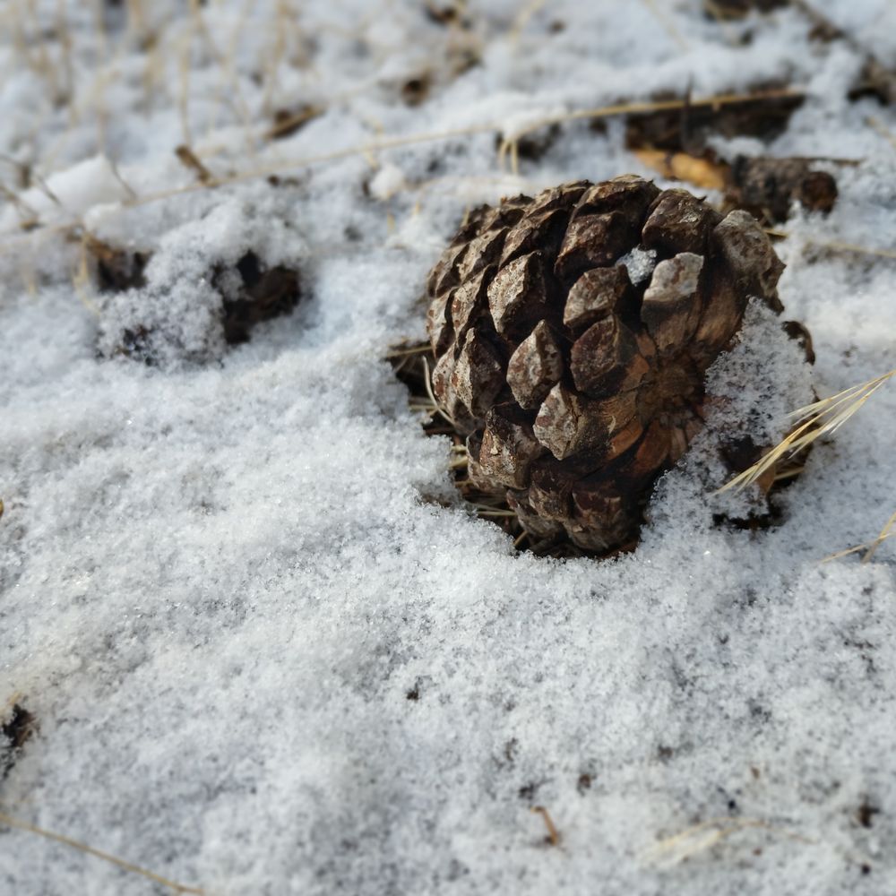 Outside Therapy - grief counselor in Cheyenne, WY