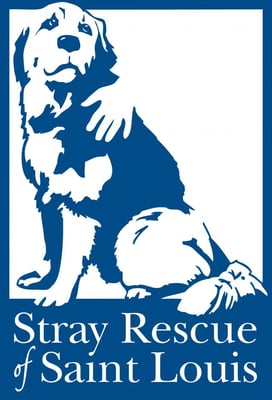 rescue stray louis st dog shelter saint dogs mo adopt kia butler jim month bbq wash host celebrate ways national