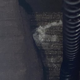 White stuff on the carpet.