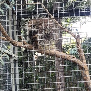 Orange County Zoo - Zoos Near Me - Orange, California