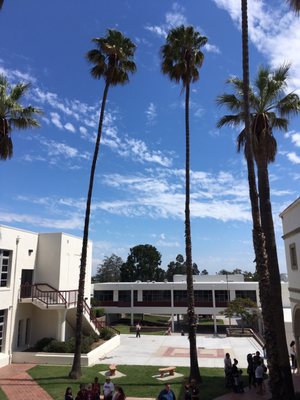 Torrance High School by null