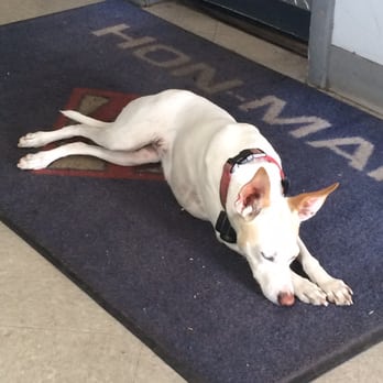 Hon-Man Auto Care - Amy makes sure everything is going well. - Auto Repair Near Me - Tempe, Arizona Hon-Man Auto Care - Amy makes sure everything is going well. - Auto Repair Near Me - Tempe, Arizona