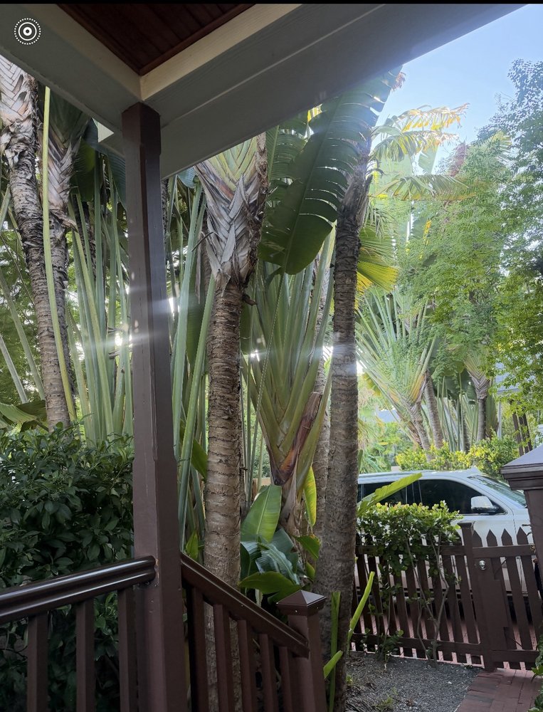 Travelers Palm Inn & Suites