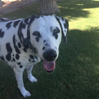 Amador Vista Park - Me and Sweetie - Parks Near Me - Henderson, Nevada