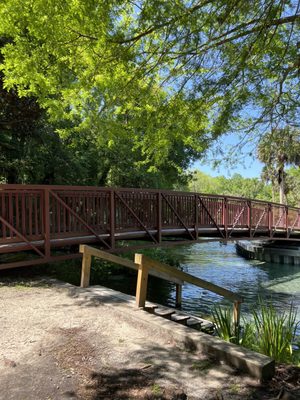 Kelly Park - Rock Springs by null