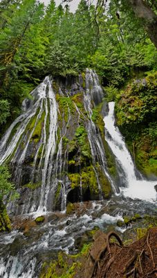 Panther Creek Falls by null