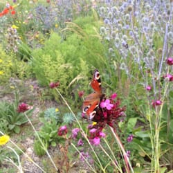 The University of Oxford Botanic Garden