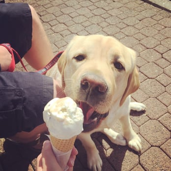 Suzy's Scoops - Even our dog Angus loved it!! - Ice Cream & Frozen Yogurt Near Me - Cannon Beach, Oregon