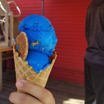 Novel Ice Cream - Cookie Monster! Amazing ice cream!!!! Madagascar Vanilla, Butter Pecan and the Lavendar honey - all delish! Highly recommend! - Desserts Near Me - Phoenix, Arizona Novel Ice Cream - Cookie Monster! Amazing ice cream!!!! Madagascar Vanilla, Butter Pecan and the Lavendar honey - all delish! Highly recommend! - Desserts Near Me - Phoenix, Arizona