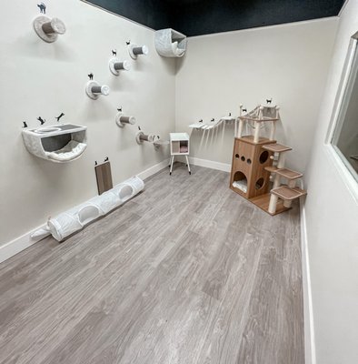 City Bark Miami by null