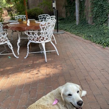 El Pinto - Dogs allowed on the patio :) - New Mexican Cuisine Near Me - Albuquerque, New Mexico