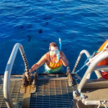 Pro Diver Maui - They know where to dive & snorkel. Look at how clearly you can see the fish. - Scuba Diving Near Me - Kihei, Hawaii Pro Diver Maui - They know where to dive & snorkel. Look at how clearly you can see the fish. - Scuba Diving Near Me - Kihei, Hawaii