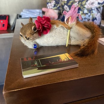 Roshambo - Hilarious taxidermy - Breakfast & Brunch Near Me - Atlanta, Georgia