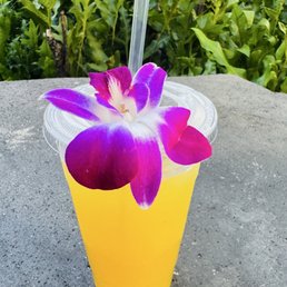 Sugar Cane Juice