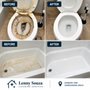 Lenny Souza Cleaning Services