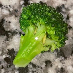 Worms in my sons broccoli
