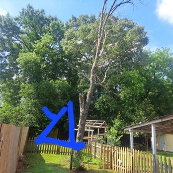 Green Planet Professional Tree Service - Tree Services Near Me - Prattville, Alabama Green Planet Professional Tree Service - Tree Services Near Me - Prattville, Alabama