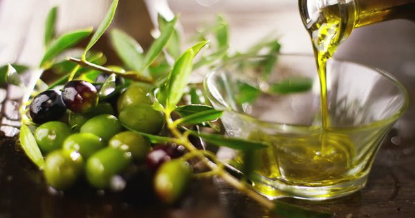 Rioja Wine Tours by null