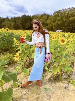 Hanson's Farm by null