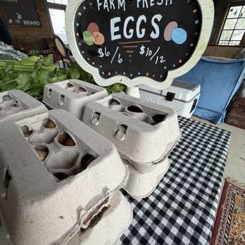 Conundrum Farms - Fresh farm eggs - Attraction Farms Near Me - Crowley, Texas