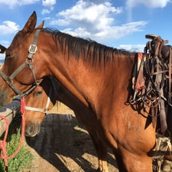 Cottonwood Ranch