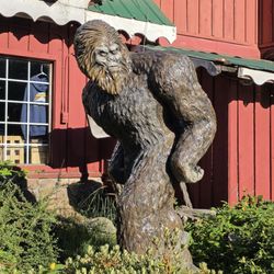 Zig Zag Inn