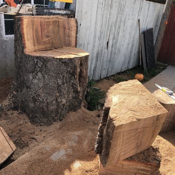 Flintridge Tree Care - a picture of a tree stump - Tree Services Near Me - Pasadena, California Flintridge Tree Care - a picture of a tree stump - Tree Services Near Me - Pasadena, California