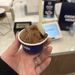 double chocolate temptation small cup double chocolate temptation small cup