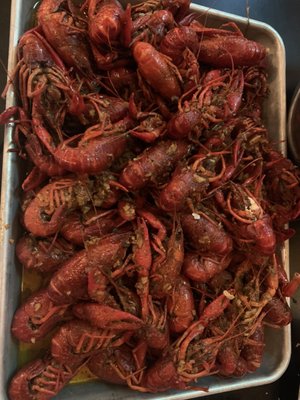 My Brother's Crawfish by null