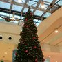 Photo of Auchan