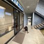 Photo of City Pet Hospital