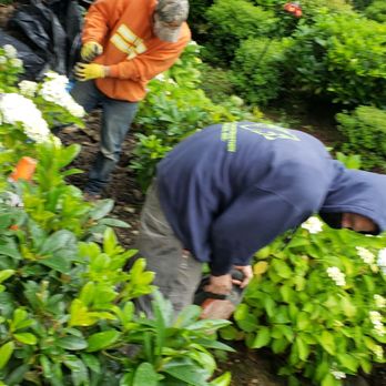 Bodine Construction Services - Construction and digging a storm drain repair - General Contractors Near Me - Lynnwood, Washington