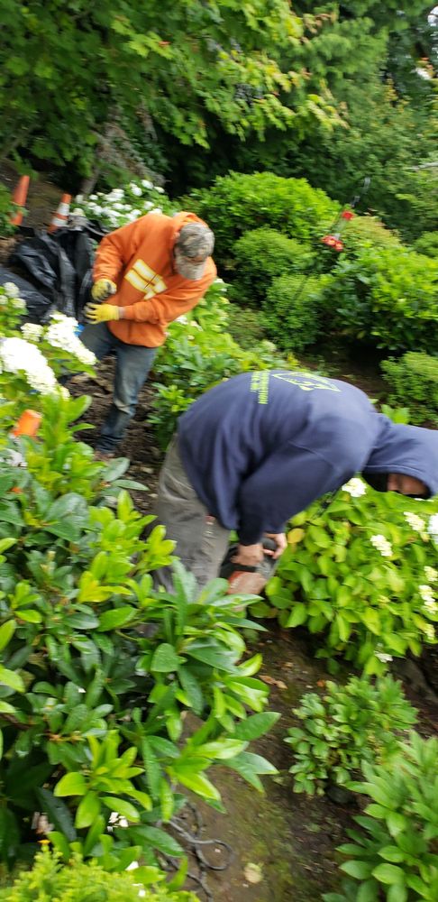 Slide of Bodine Construction Services