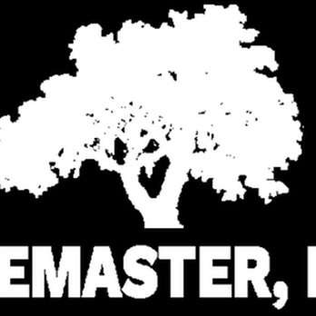 Tree Masters - untitled - Tree Services Near Me - Savannah, Georgia Tree Masters - untitled - Tree Services Near Me - Savannah, Georgia