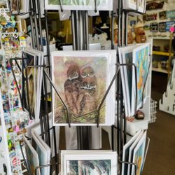 Cards by a local Cape Coral artist